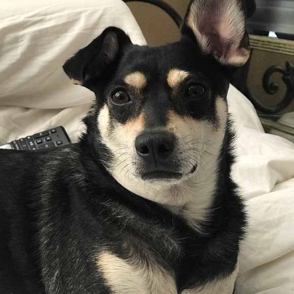 Meet your Posher, Teresa - Picture 3 of 4